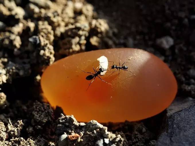 玉投资市场的黄金时代ky开元棋牌这是金丝