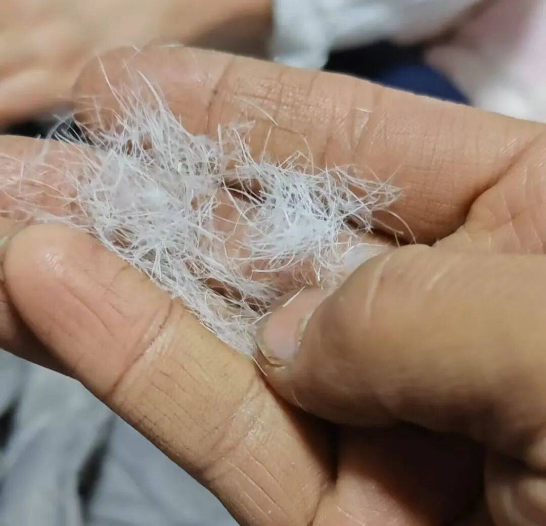 毛”消费者怀疑是假货商家悄悄删改宣传语开元棋牌app买抗寒睡袋“鸭绒”变“鸭